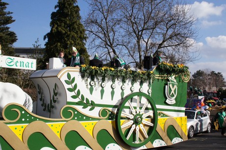 Senat-Karnevalsgesellschaft-Fidele-Narrenzunft-Liblar