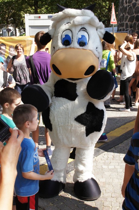 TOGGOLINO