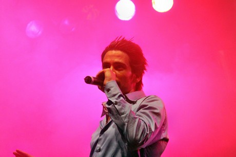 amir-fay-gutman