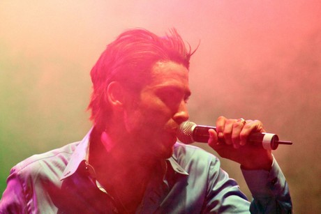 amir-fay-gutman