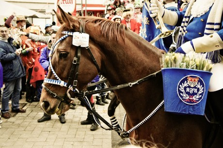 blaue-funken-koeln