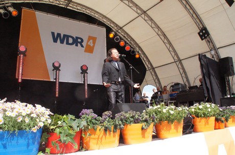 chris-andrews