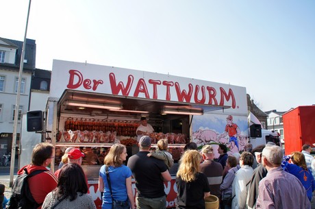 der-wattwurm