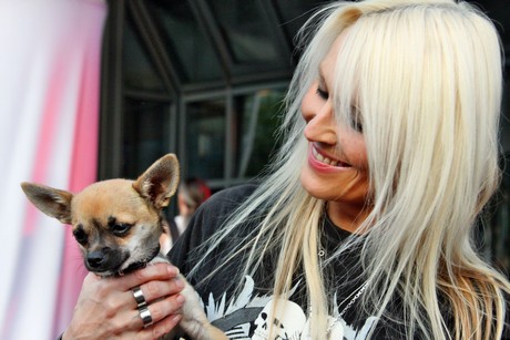 doro-pesch