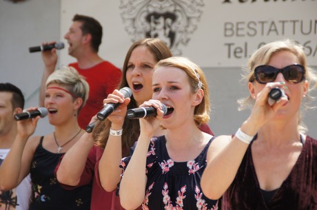 gunni-mahling-show-ensemble
