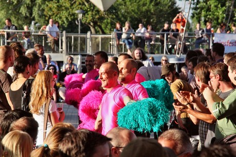 pink-poms