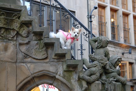 pueppi