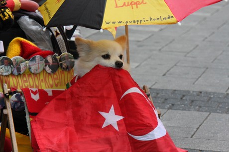 pueppi