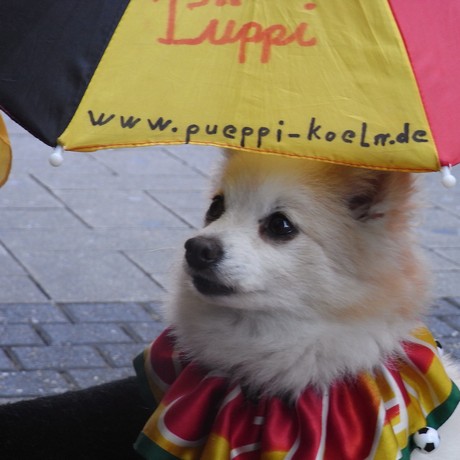 pueppi