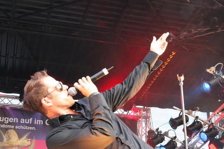 robbie-williams