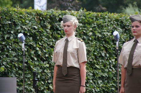 sgt-wilson-army-show