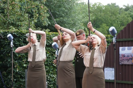 sgt-wilson-army-show