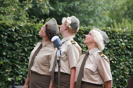 sgt-wilson-army-show