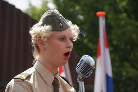 sgt-wilson-army-show