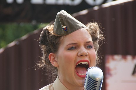 sgt-wilson-army-show