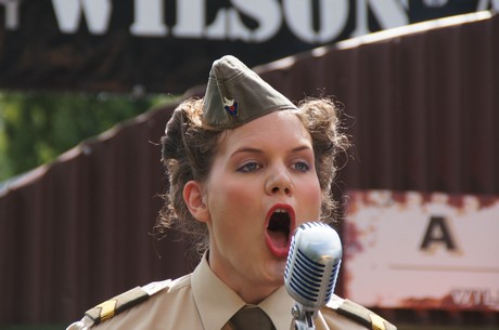 sgt-wilson-army-show