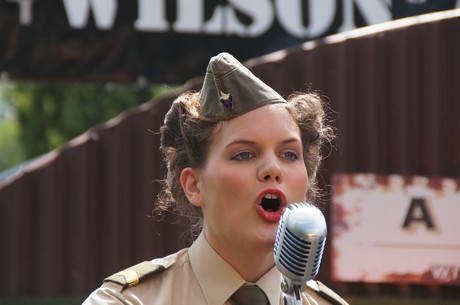 sgt-wilson-army-show
