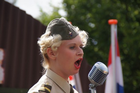 sgt-wilson-army-show