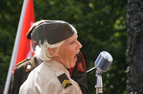 sgt-wilson-army-show