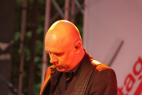 still-collins
