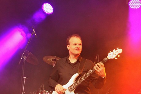 still-collins