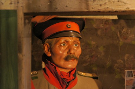 wilhelm-vogt