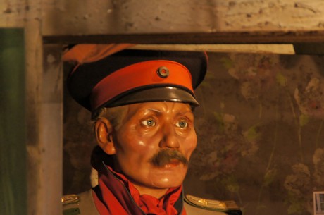 wilhelm-vogt