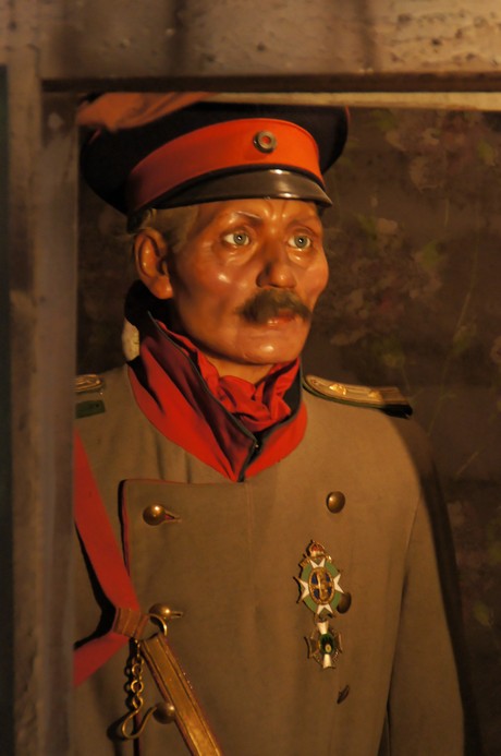wilhelm-vogt