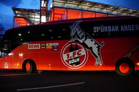 BusBus