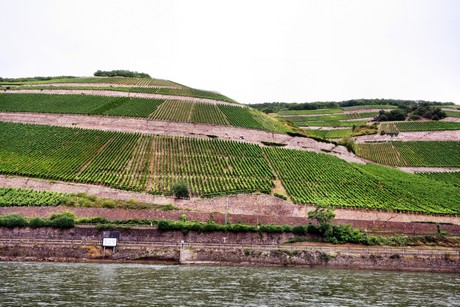 bingen-boppard