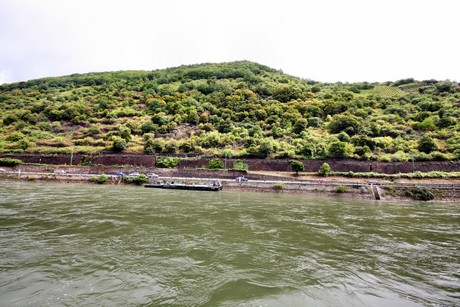 bingen-boppard