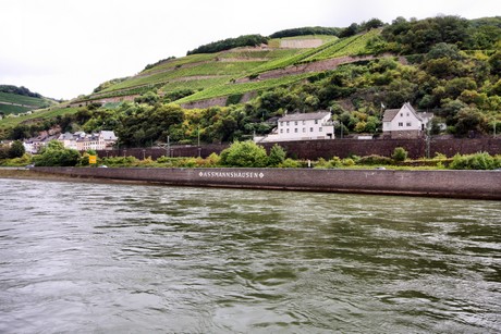 bingen-boppard