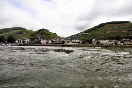 bingen-boppard