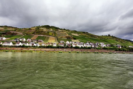 bingen-boppard