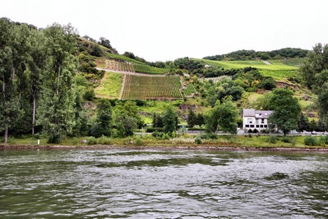 bingen-boppard