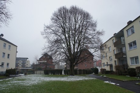 Bickendorf
