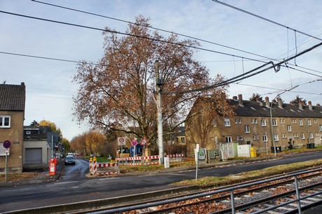bickendorf