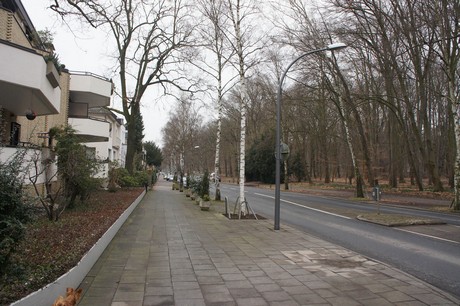 braunsfeld