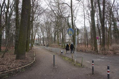 braunsfeld