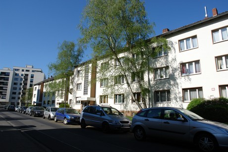 ehrenfeld