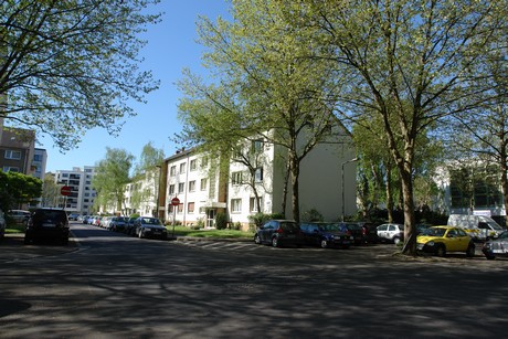 ehrenfeld
