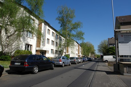 ehrenfeld