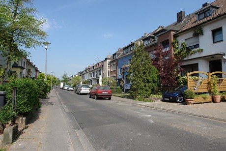 ehrenfeld