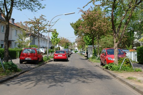 ehrenfeld