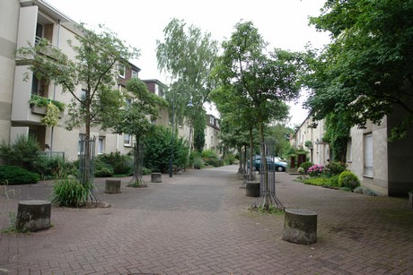 ehrenfeld