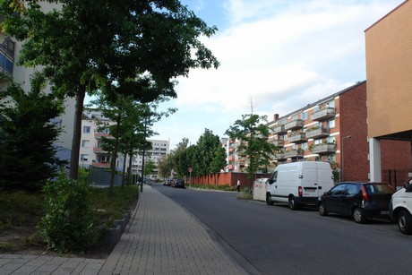 ehrenfeld