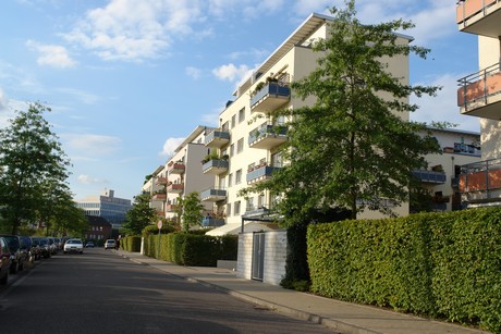 ehrenfeld