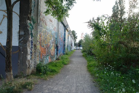 ehrenfeld