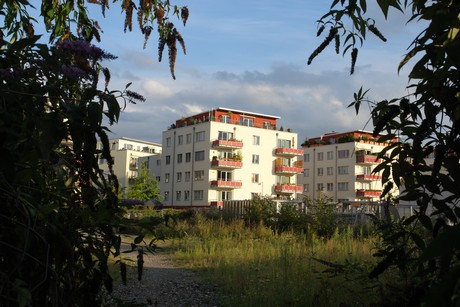 ehrenfeld