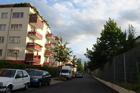 ehrenfeld
